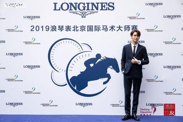 精准王中王一肖，深度解析与SEO优化策略，精准王中王一肖，深度解析与SEO优化策略指南