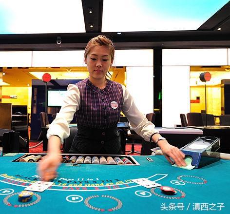 揭秘一肖三码赌神王中王，真相与风险，揭秘一肖三码赌神王中王，真相与风险揭秘