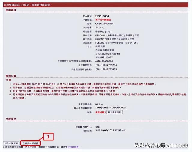 澳门正版资料免费查询，探索未来的可能性与免费资源获取策略（2025展望），澳门正版资料免费查询，探索未来可能性与资源获取策略（展望2025）