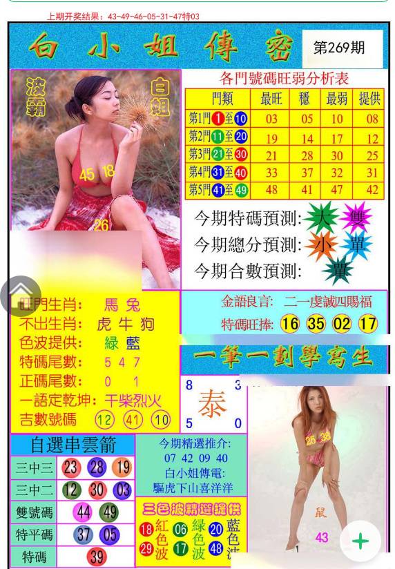王中王白小姐四肖选一，揭秘背后的秘密与策略，揭秘王中王白小姐四肖选一背后的秘密与策略之道