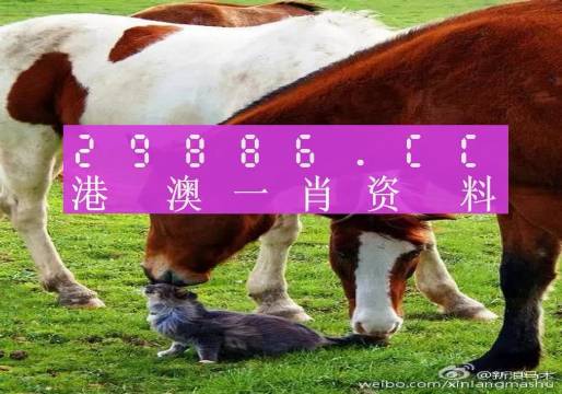 新奥门一肖一码，揭秘精准预测的秘密，揭秘新澳门一肖一码精准预测的秘密