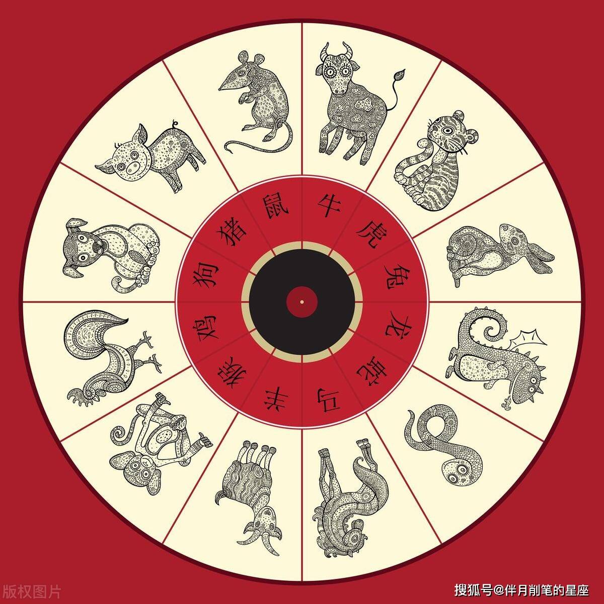 揭秘2025年9肖十码图的奥秘与趋势，揭秘，2025年九肖十码图的趋势与奥秘展望