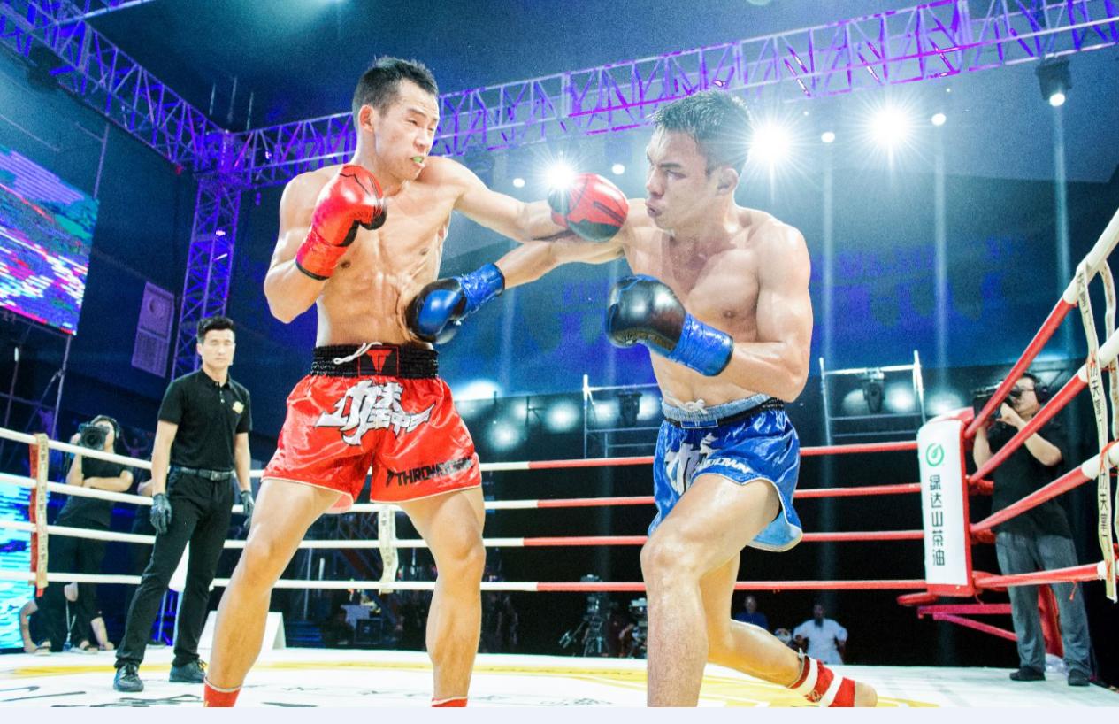 王中王欲钱一句猜一肖——探寻生肖之谜，王中王欲钱揭秘生肖之谜，探寻生肖的奥秘