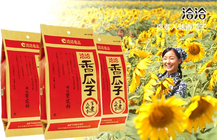 王中王平特一肖主一码，深度解析与SEO优化策略，王中王平特一肖主一码深度解析与SEO优化策略探讨