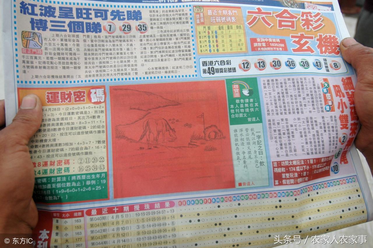 曾夫人王中王精准一肖，揭秘背后的秘密与真相，揭秘曾夫人王中王精准预测背后的秘密与真相