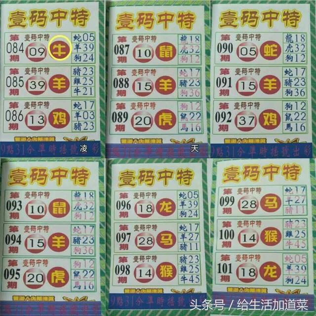 澳门六合彩开奖结果