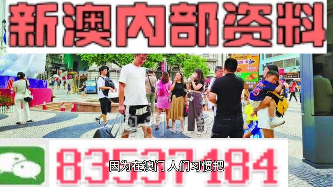 2025新澳正版资料精准解析，2025新澳正版资料精准解析手册