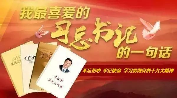 正版王中王平特一肖，深度解析与探索，正版王中王平特一肖深度解析与探索揭秘
