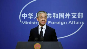 澳门四不像网，探索与解析，澳门四不像网深度探索与解析