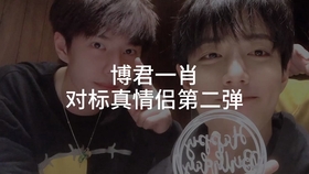 一肖二码，揭秘背后的秘密与真相，一肖二码揭秘，背后的秘密与真相全解析