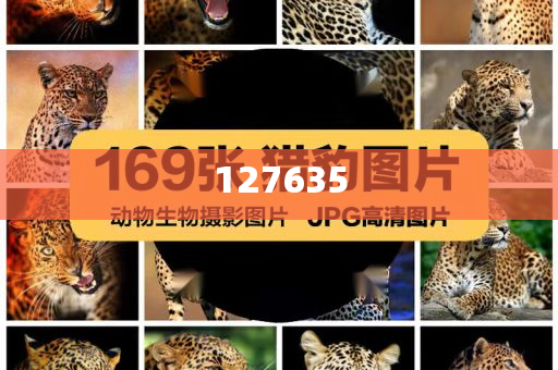 揭秘7777788888精准新传真，一切你所需要知道的，揭秘精准新传真，你所需要知道的关于77777与88888的一切秘密