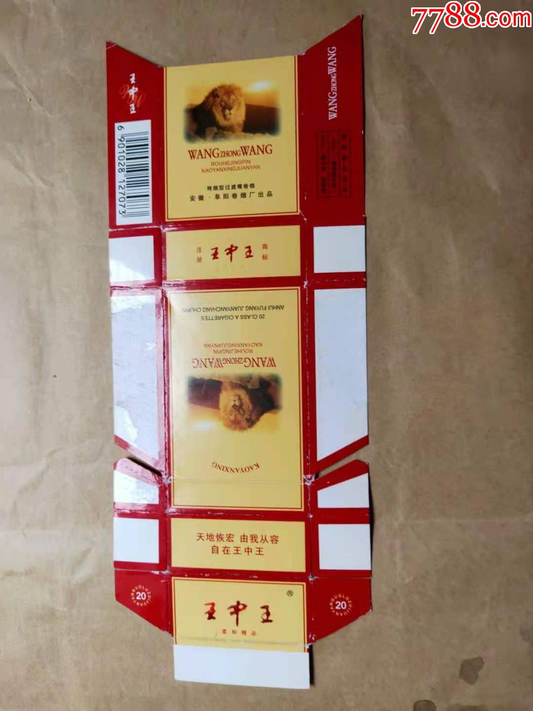 王中王资料一肖中特香，深度解析与探索，王中王资料一肖中特香，深度探索与解析