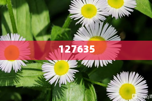 精准新传真，探索数字世界里的秘密宝藏——77777与88888的魅力，数字宝藏探索之旅，揭秘数字世界中的秘密宝藏与数字组合的魅力