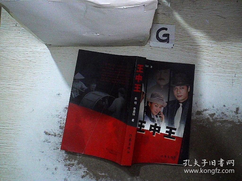 王中王资料一肖持，深度解析与探索，王中王资料一肖持，深度解析与独家探索