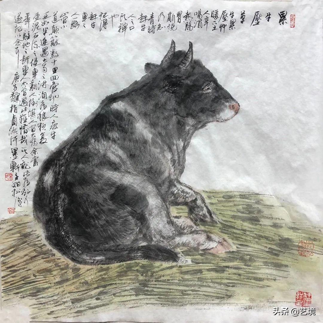 关于五肖中六个生肖的组数分析，五肖中六个生肖组数深度解析