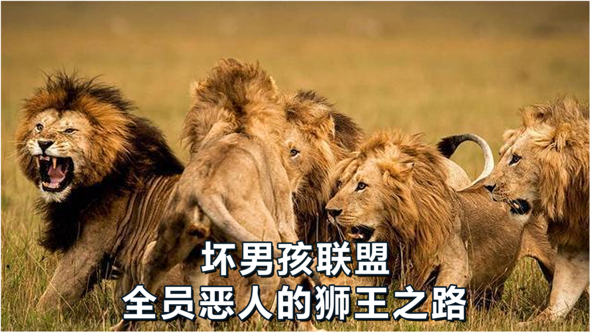 揭秘王中王必中一肖四不像图，真相与奥秘，揭秘王中王必中一肖四不像图的真相与奥秘