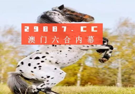 白小姐精准免费四肖，揭秘背后的秘密与真相，揭秘白小姐精准免费四肖背后的真相与秘密