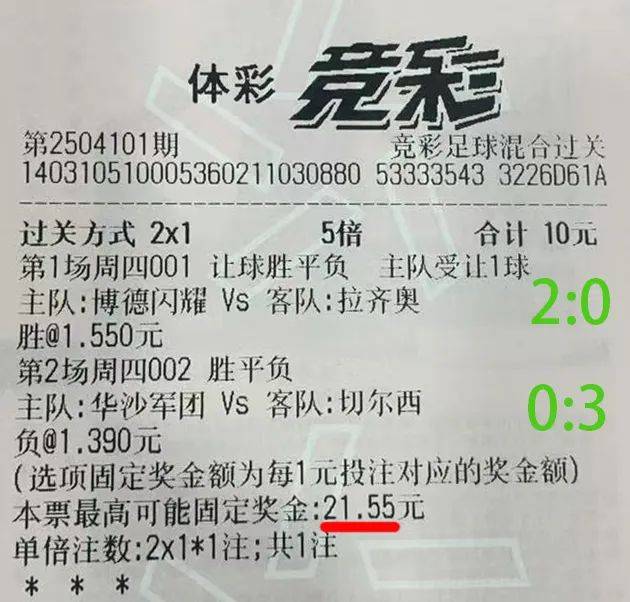 高手平特一肖王中王，揭秘背后的秘密策略与技巧，揭秘高手平特一肖王中王的秘密策略与技巧