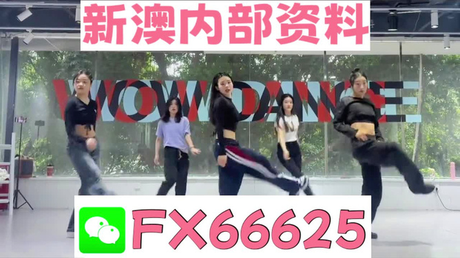 新澳正版资料免费提供，全面解析与深度探索，新澳正版资料全面解析与深度探索，免费提供的指南