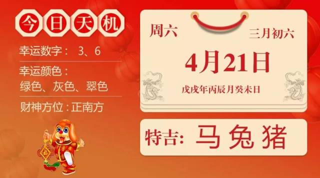揭秘实为五肖十码，深度解析与探索，揭秘五肖十码，深度解析与探索之旅