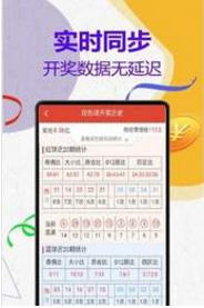 精准平特一肖王中王二五，揭秘预测玄机与策略，揭秘精准预测，一肖王中王二五的秘密策略与玄机探讨