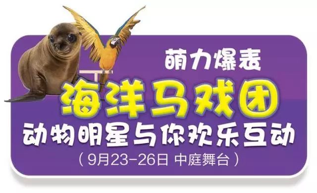 新奥门天天开奖资料大全，全方位解读澳门彩票开奖历程与数据，澳门彩票开奖历程与数据全方位解读，新奥门天天开奖资料大全