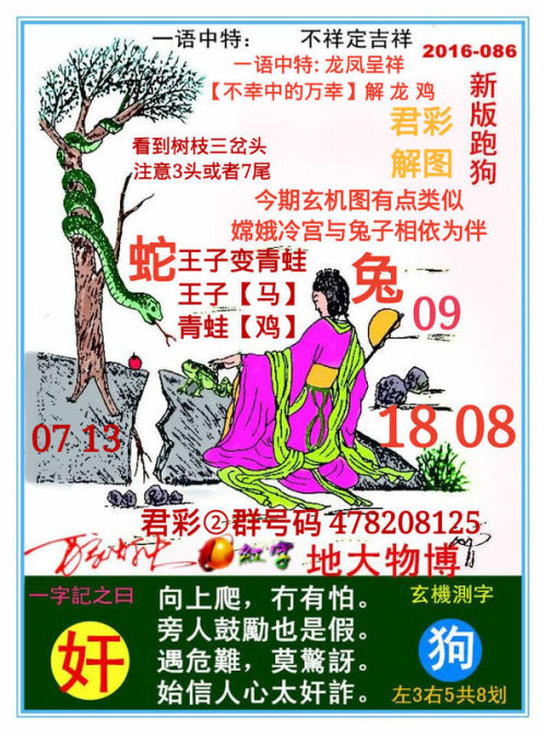 探索精准跑狗图，揭秘7777788888跑狗图的秘密，揭秘跑狗图精准预测，探索7777788888跑狗图的秘密