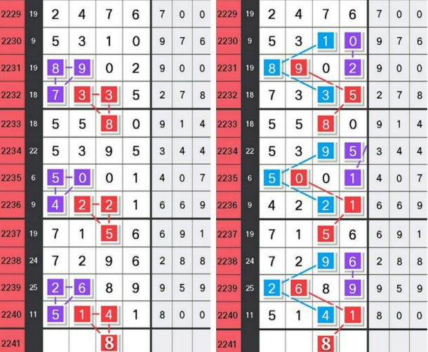 一肖2码中本期，揭秘生肖运势与数字密码的奥秘，揭秘生肖运势与数字密码奥秘，一肖两码揭晓本期运势预测