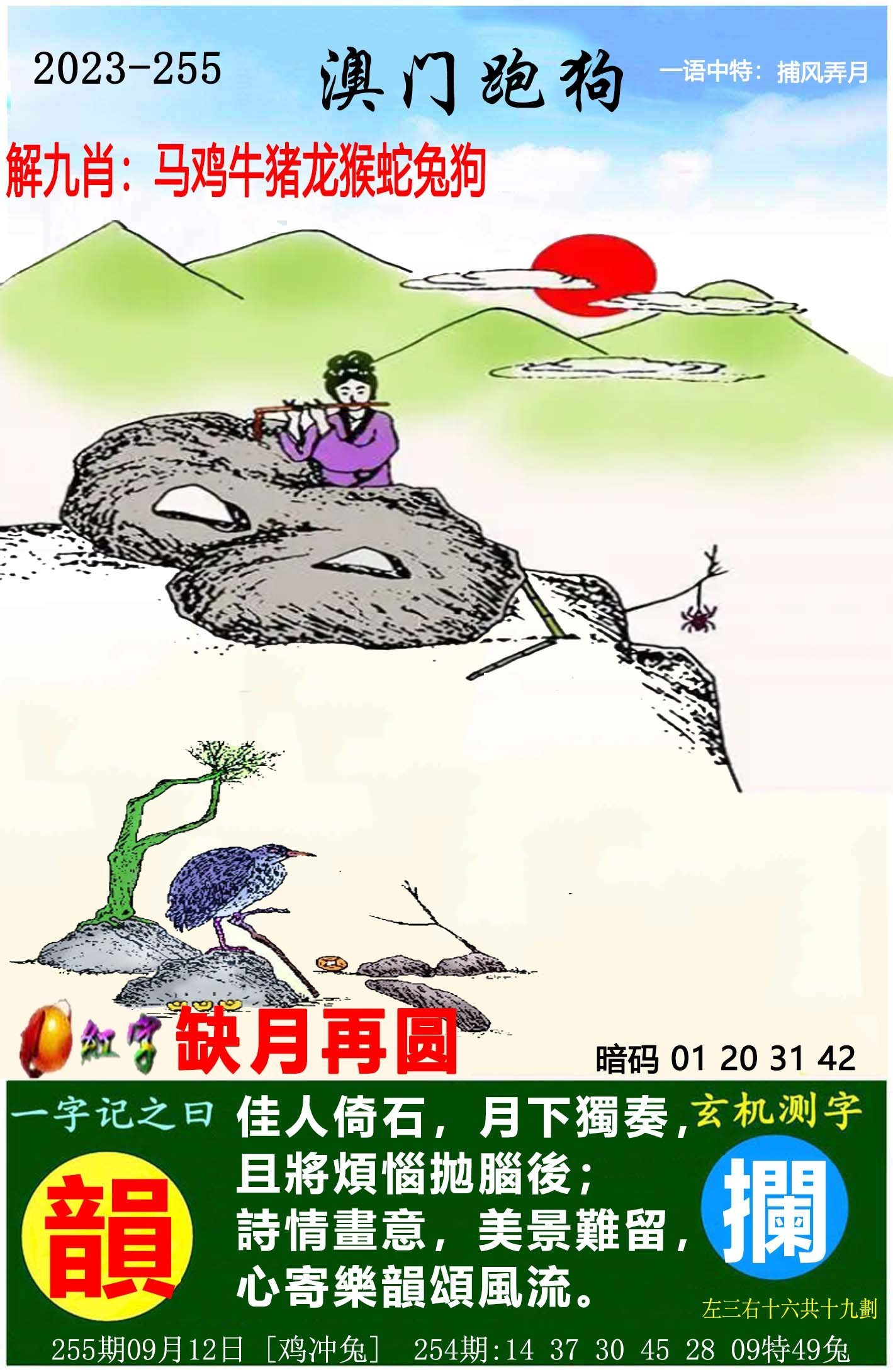 2025澳门天天开好彩大全第53期，探索最新彩票资讯与预测趋势，澳门彩票资讯探索与预测趋势第53期，天天开好彩揭秘
