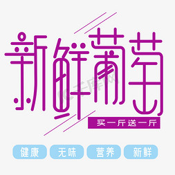 王中王葡萄新平特一肖，探索葡萄品种的魅力与特色，探索葡萄品种魅力与特色，王中王葡萄新平特一肖的奥秘