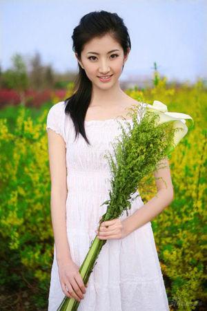 新奥门彩出号综合走势分析，新奥门彩出号综合走势解析