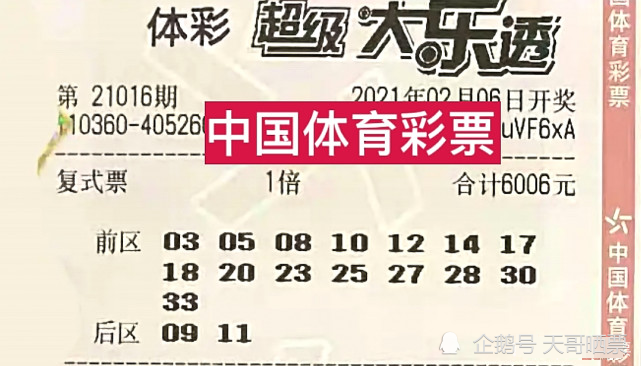 澳门六肖十二码开奖结果，揭秘彩票背后的秘密，澳门六肖十二码开奖结果揭秘，彩票背后的秘密大揭秘