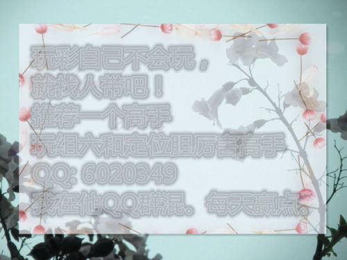 澳门动态足球盘