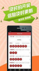 白小姐王中王六肖选一V，揭秘背后的秘密与策略，揭秘白小姐王中王六肖选一背后的秘密与策略之道