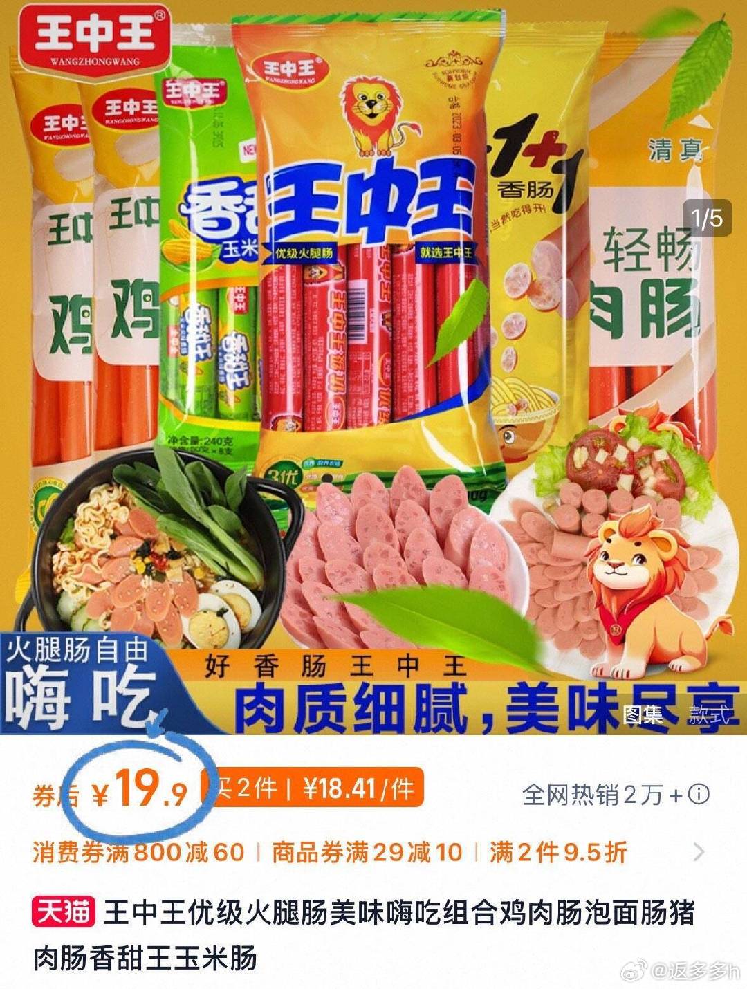 王中王的资料一肖中特，深度解析与探索，王中王资料解析，一肖中特深度探索与揭秘