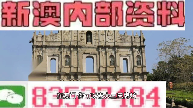 澳门内部免费资料，探索与揭秘，澳门内部免费资料揭秘探索之旅