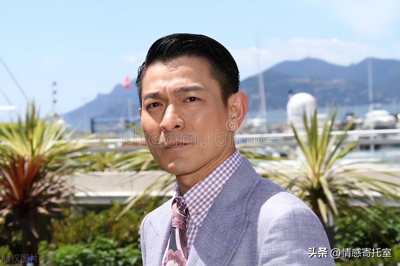 香港资料王中王一肖，深度解析与探索，香港资料王中王一肖，深度剖析与探索之旅