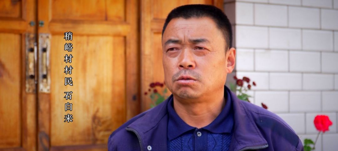 刘伯温三肖料选一肖，揭秘古代预测技艺与现代SEO策略融合之道，刘伯温三肖料选一与现代SEO策略融合揭秘，古代预测技艺的现代应用之道