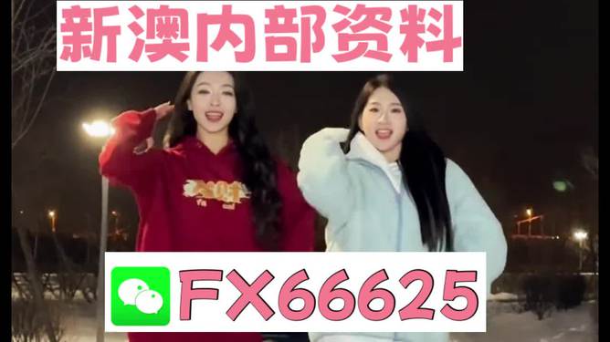 奥门一码一肖一特一中，揭秘背后的秘密与魅力，揭秘澳门一码一肖一特一中背后的秘密与魅力