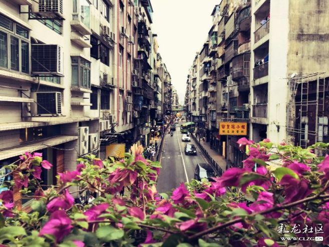 澳门四不像正版四不像网，探索真实与虚幻的交融之地，澳门四不像正版探索，真实与虚幻的交融世界
