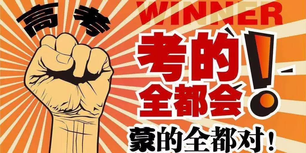 揭秘王中王与一肖之间的独特差异，123期下的不同风采，揭秘王中王与一肖的独特差异，展现风采的123期对比解析