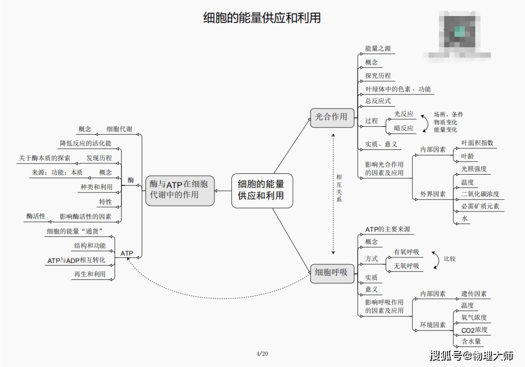 王中王一肖三码必中特，揭秘彩票预测神秘面纱与SEO策略洞察，彩票预测揭秘与SEO策略洞察，王中王一肖三码必中特揭秘