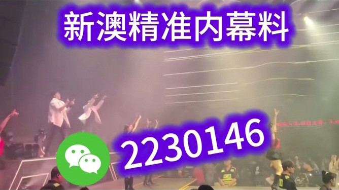 2025新澳精准资料大全——全面解析与深度探索，2025新澳精准资料大全，全面解析与深度探索指南