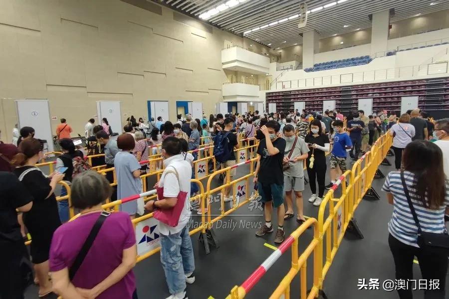 澳门144期，探索与揭秘，澳门探索之旅，揭秘第144期之谜