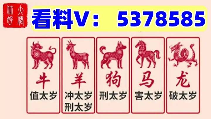 澳门马站最快开奖结果，探索最新开奖动态与技巧，澳门马站最新开奖结果及探索开奖动态与技巧