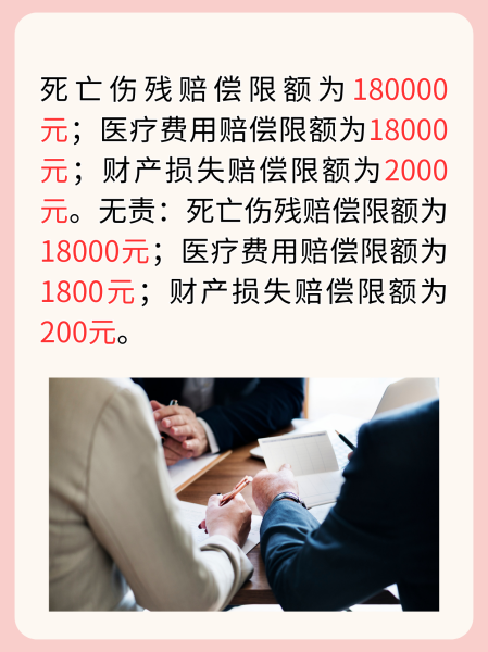 一肖赔多少，深度解析与SEO洞察，一肖赔深度解析与SEO洞察揭秘真相