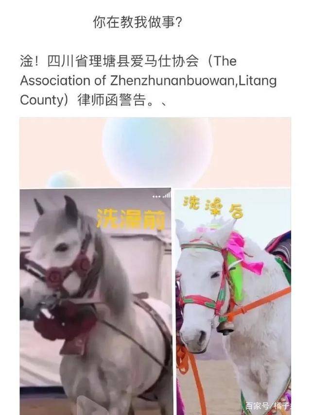 一马爆特图，揭示背后的故事与SEO优化策略，一马爆特图背后的故事与SEO优化策略揭秘