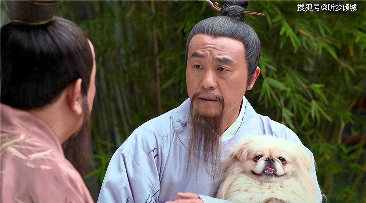 定天下刘伯温打一生肖——探寻传奇背后的奥秘，刘伯温传奇背后的生肖奥秘，揭秘生肖与传奇人物刘伯温的关联。