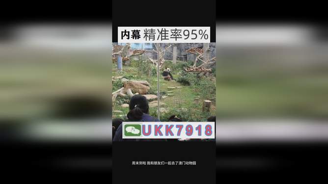 2023年澳门今晚开奖结果揭晓，预测与回顾的重要性，澳门今晚开奖结果揭晓，预测与回顾的重要性