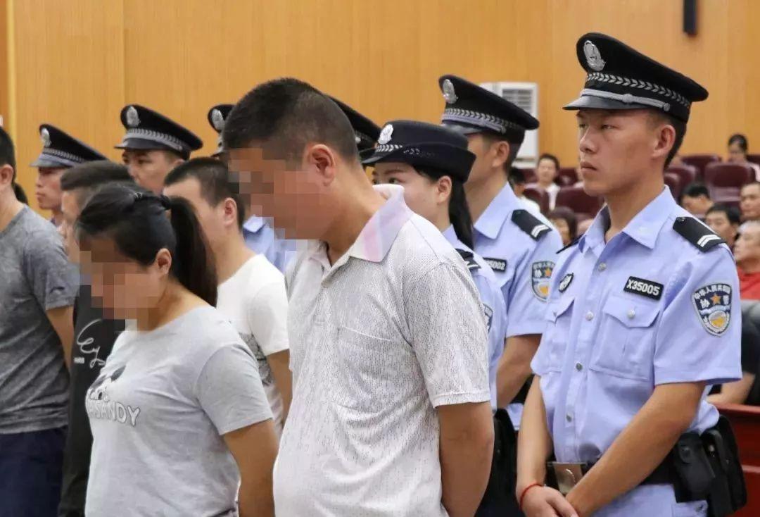 香港特马王资料免费公开，揭秘背后的秘密，香港特马王资料揭秘，免费公开背后的秘密